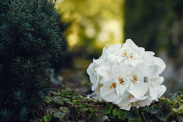 Free photo elegant wedding bouquet