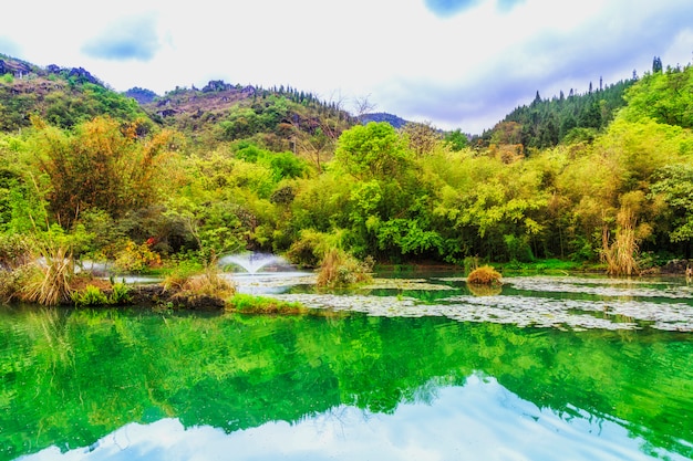 elephant river natural water nine mist