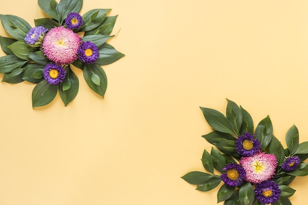 Elevated view of beautiful purple and pink flowers on yellow background