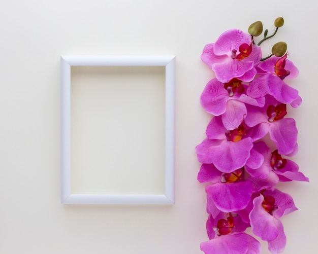 Free photo elevated view of blank photo frame with pink orchid flowers above white backdrop