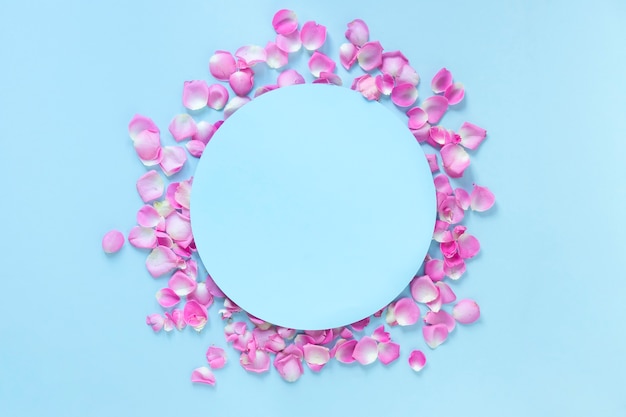 Free photo elevated view of circular frame surrounded with pink rose petals over blue background