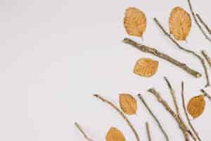 Free photo an elevated view of dry leaves and twigs isolated on white background with copy space for text