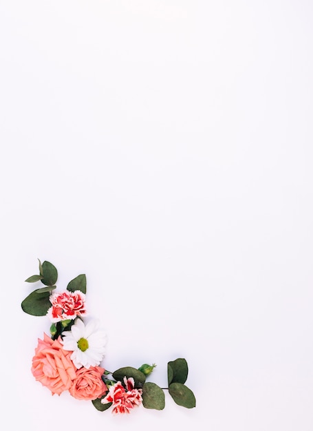 Elevated view of flowers and leaf decorated on white background