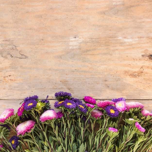 Elevated view of fresh flowers at the edge of wooden backdrop