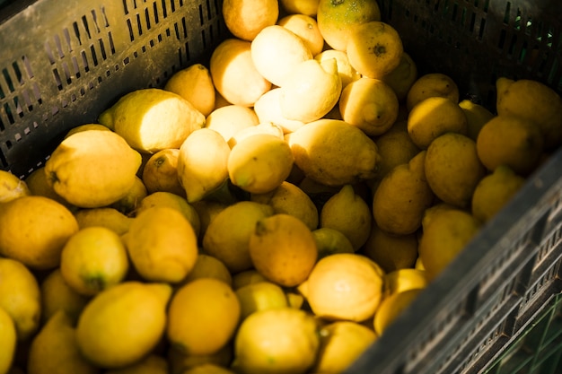 Elevated view of fresh juicy lemon in crate at fruit market