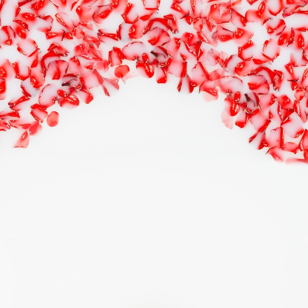 Free photo elevated view of fresh red petals floating on water