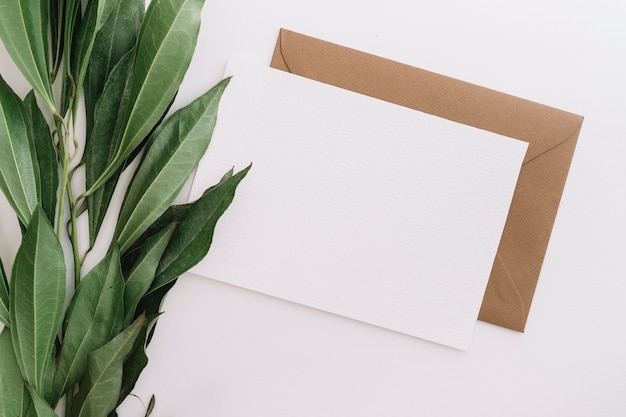 An elevated view of green leaves with two envelopes on white backdrop