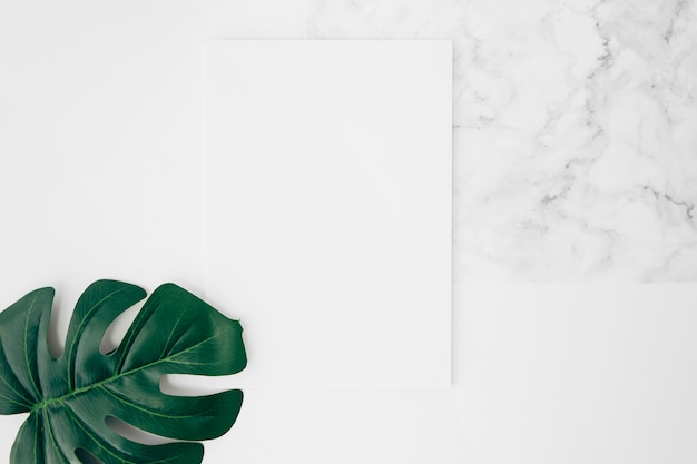 Free Photo an elevated view of green monstera leaf on white blank card over the desk