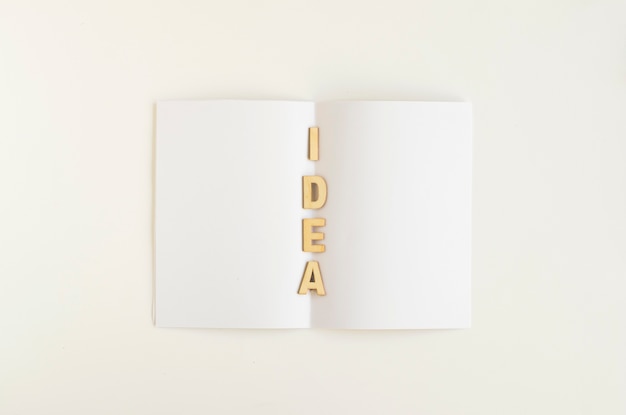 Elevated view of idea word on white paper