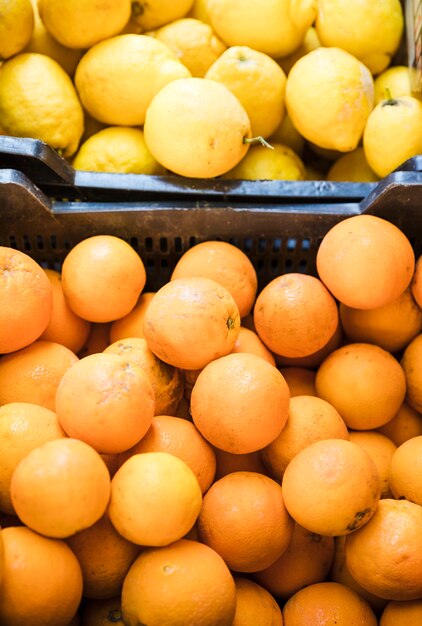 Elevated view of juicy lemon and kumquats fruits in market