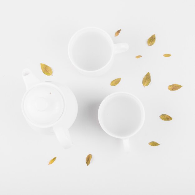 Elevated view of leaves; tea cup and teapot on white background