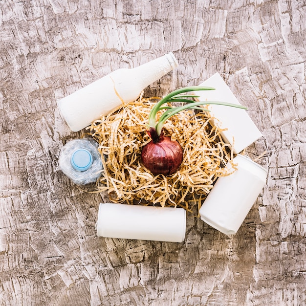 Elevated view of onion with woodshave surrounded by vivid white bottles