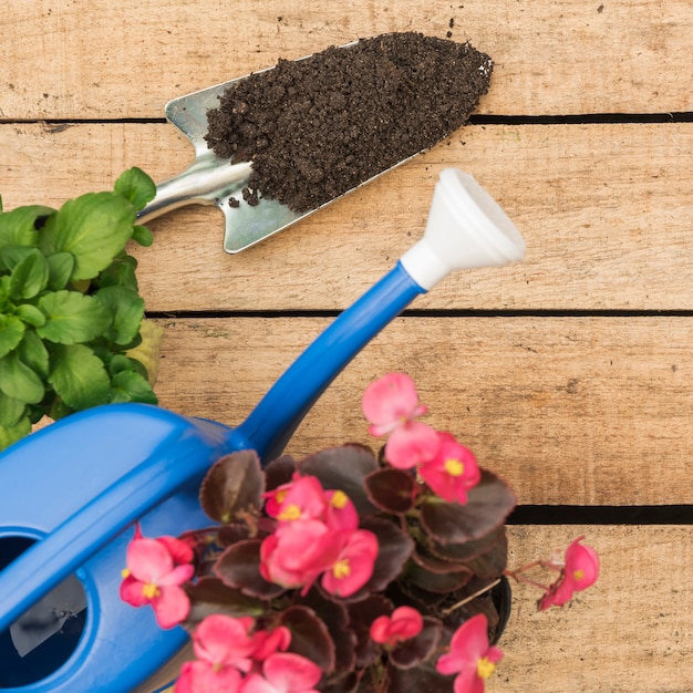 Free photo elevated view of pink begonia flowers; watering can and shovel with soil on wooden surface