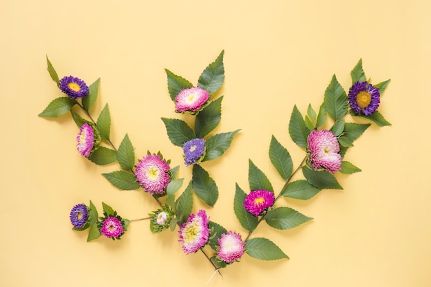 Free Photo elevated view of pink and purple flowers on yellow backdrop