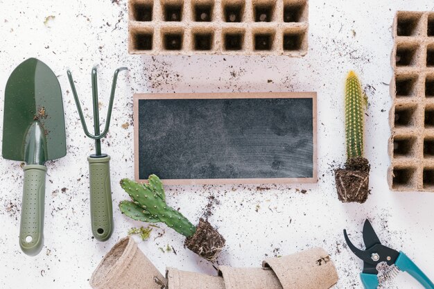 Elevated view of shovel; rake; pruner; cactus plant peat tray; pot and blank slate over messy white background