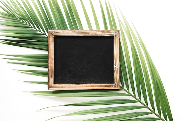 Elevated view of slate over palm leaf against white background