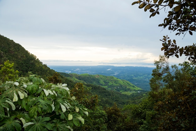 Free Photo elevated view of tropical mountain in costa rica