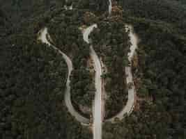 Free photo elevated view of winding road in forest