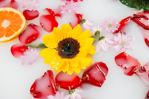 Elevated view of yellow flower with petals and grapefruit in spa bath with milk