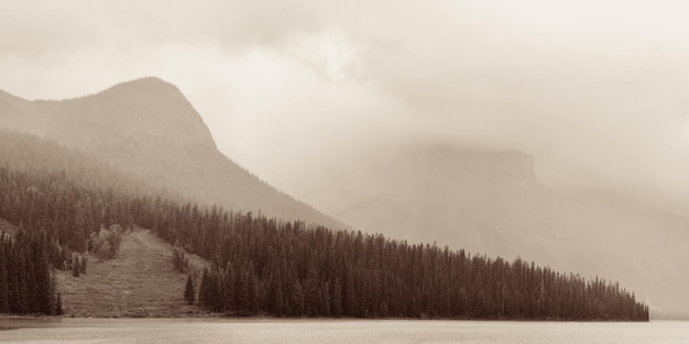 Free Photo emerald lake with fog in yoho national park, canada.