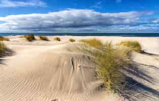 Free photo the empty beaches in the spring