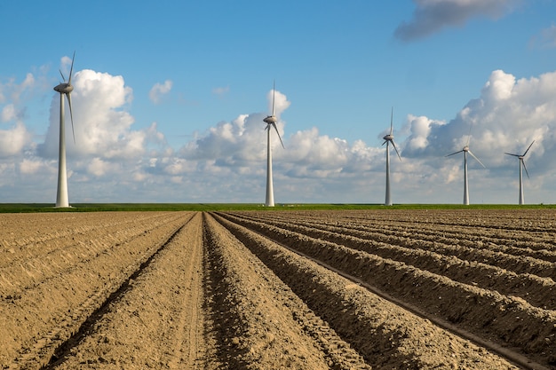 Empty field with windmills in the distance under a blue sky