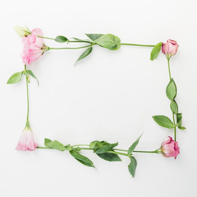 Free Photo an empty frame made with fresh pink flowers on white backdrop