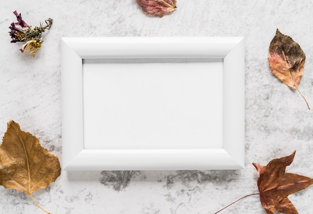 Free photo empty frame near autumn leaves on table