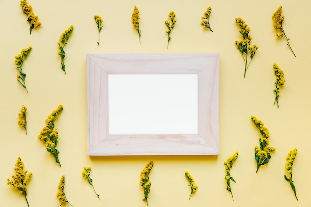 Empty frame in yellow flowers