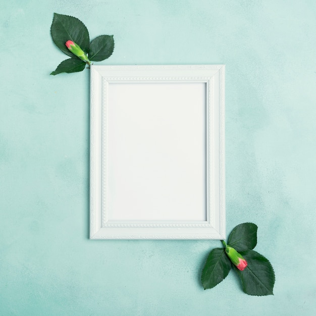 Empty mock-up frame with copy space and carnation flowers