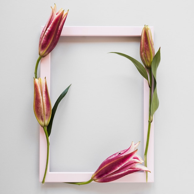 Free photo empty pink frame surrounded by royal lilies