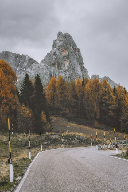 Free Photo empty road landscape