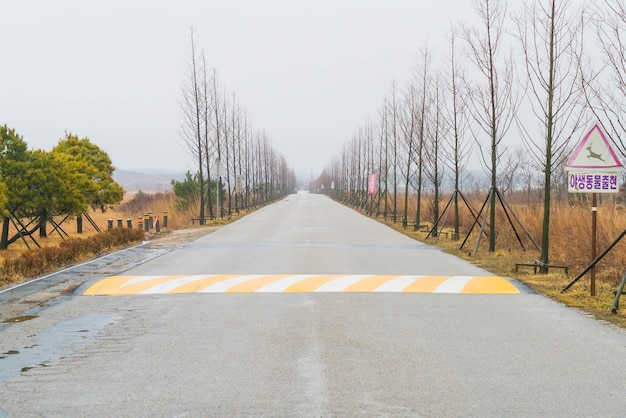 Free photo empty road