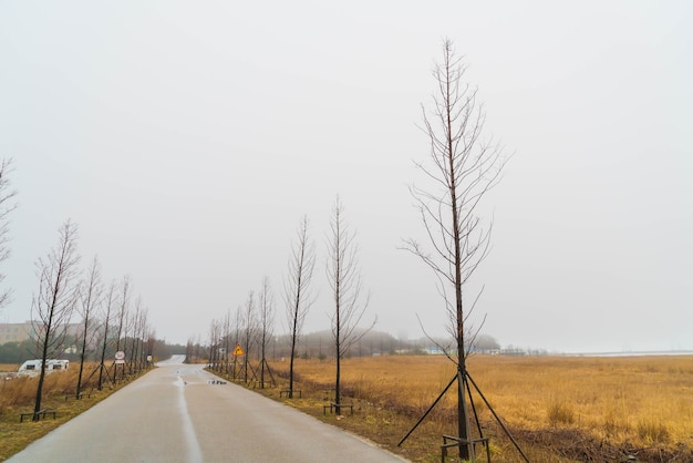 Free Photo empty road