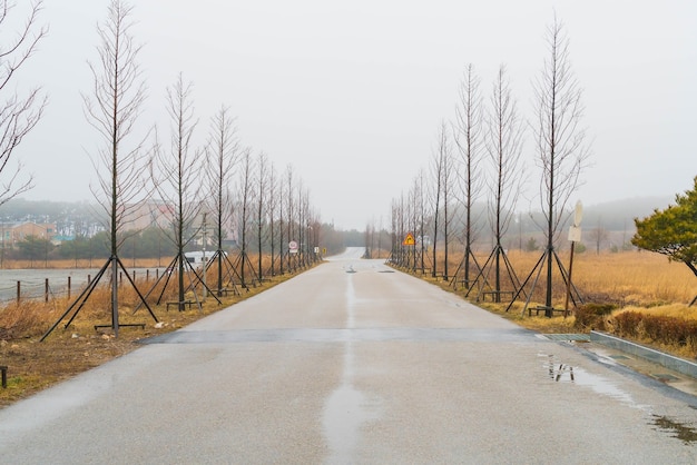 Free photo empty road