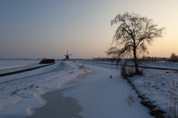 Empty snowy field with a tree and windmill buildings n the distance