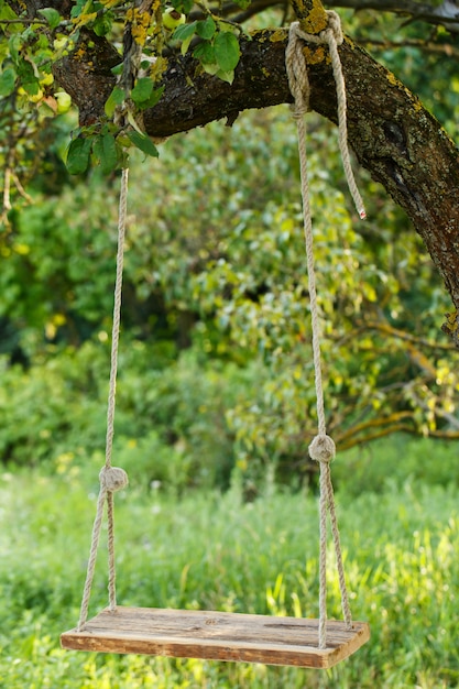 Empty swing in the park