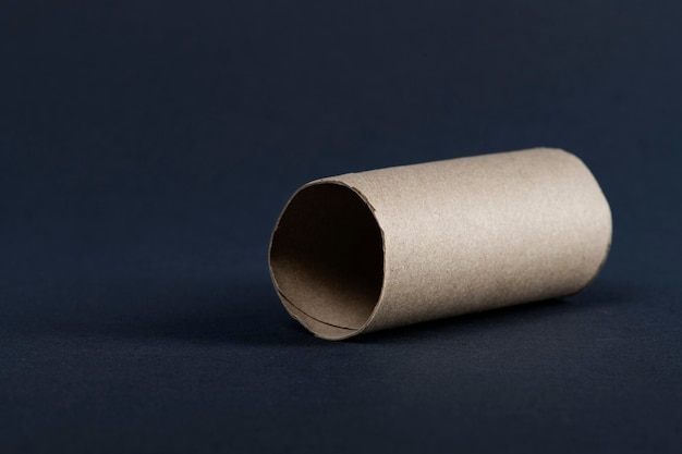 Empty toilet paper roll