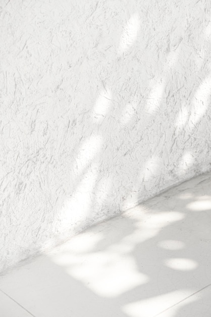 Free photo empty white corner with tropical leaf shadow