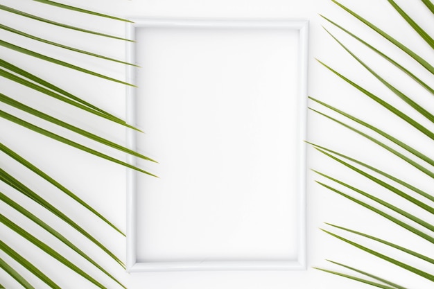 Free photo empty white picture frame with palm leaves on plain surface