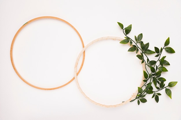 Free photo an empty wooden circular frame with leaves on white backdrop