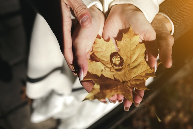 Free Photo engagement rings on a dry leaf