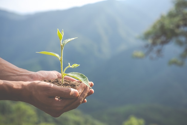 environmental conservation in the garden for children.