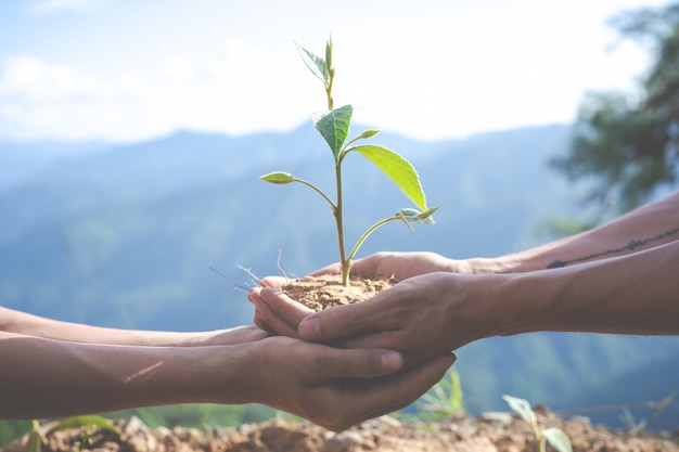 Free photo environmental conservation in the garden for children.