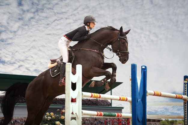 Free Photo equestrian sport young girl rides on horse on championship