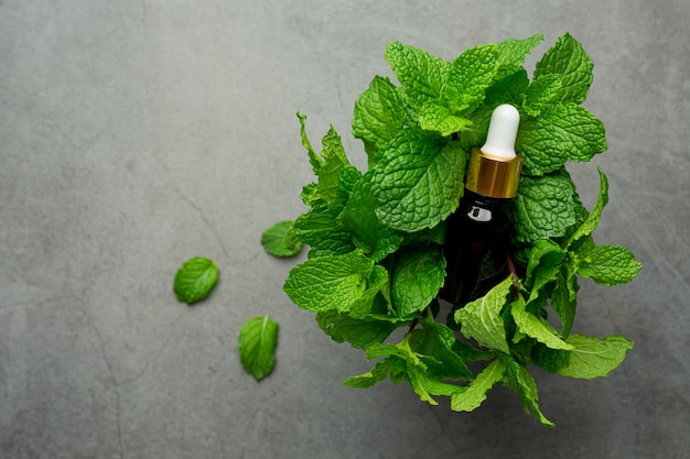 Essential oil of peppermint in bottle with fresh green peppermint