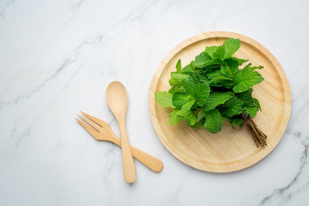 Essential oil of peppermint in bottle with fresh green peppermint