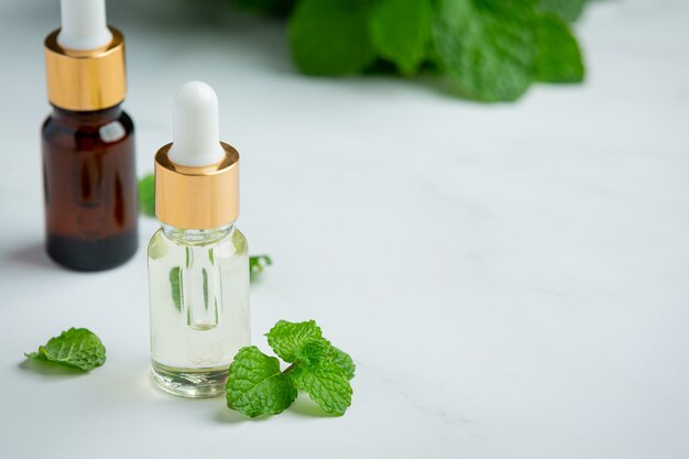 Essential oil of peppermint in bottle with fresh green peppermint