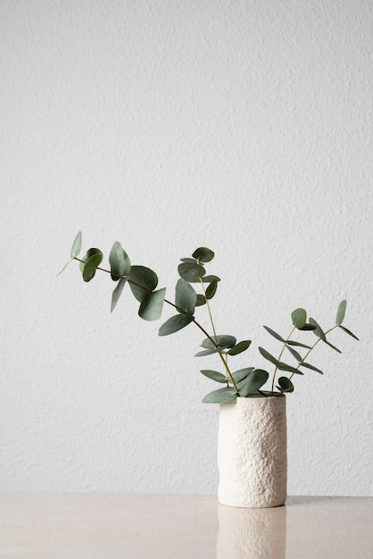 Free photo eucalyptus plant in white vase on table