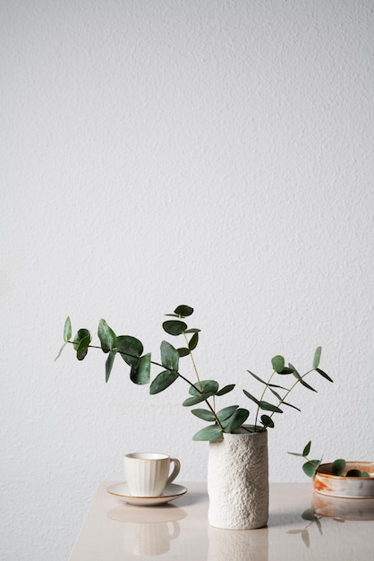 Free photo eucalyptus plant in white vase with copy space